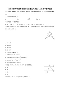 河南省周口市太康县2023-—2024学年上学期八年级期中数学试卷+