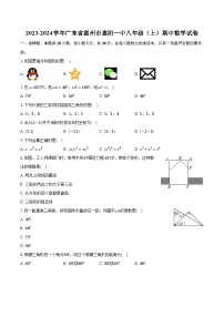 2023-2024学年广东省惠州市惠阳一中八年级（上）期中数学试卷(含解析）