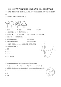 2022-2023学年广东省韶关市仁化县九年级（上）期末数学试卷(含解析）