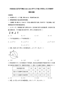 河南省驻马店市平舆县2023-2024学年九年级上学期12月月考数学模拟试题（含答案）