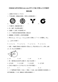 河南省驻马店市正阳县2023-2024学年九年级上学期12月月考数学模拟试题（含答案）