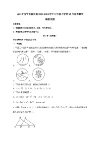 山东省济宁市嘉祥县2023-2024学年八年级上学期12月月考数学模拟试题（含答案）