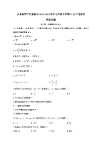 山东省济宁市嘉祥县2023-2024学年七年级上学期12月月考数学模拟试题（含答案）