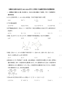 安徽省合肥市包河区2023-2024学年上学期八年级数学期末考试模拟卷（含答案）