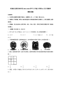 河南省安阳市林州市2023-2024学年九年级上学期12月月考数学模拟试题（含答案）