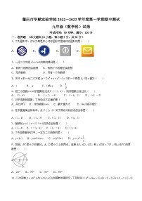 广东省肇庆市高新区华赋市实验学校2022-2023学年九年级上学期期中数学试题