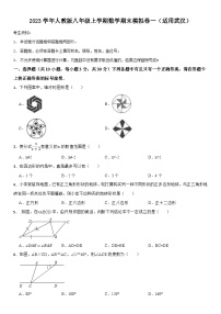 2023学年人教版八年级上学期数学期末模拟卷一（适用武汉）