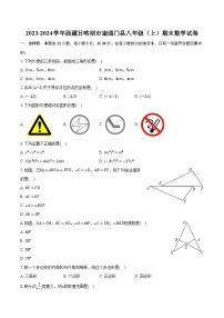 2023-2024学年西藏日喀则市谢通门县八年级（上）期末数学试卷（含解析）