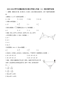 2023-2024学年安徽省亳州市部分学校九年级（上）期末数学试卷（含解析）