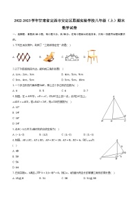 2022-2023学年甘肃省定西市安定区思源实验学校八年级（上）期末数学试卷（含解析）