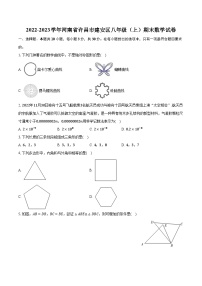 2022-2023学年河南省许昌市建安区八年级（上）期末数学试卷（含解析）