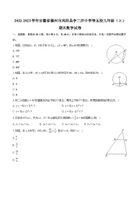 2022-2023学年安徽省滁州市凤阳县李二庄中学等五校九年级（上）期末数学试卷（含解析）