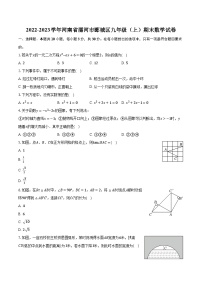 2022-2023学年河南省漯河市郾城区九年级（上）期末数学试卷（含解析）