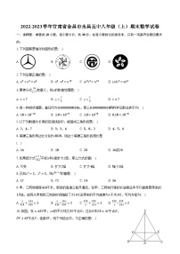 2022-2023学年甘肃省金昌市永昌五中八年级（上）期末数学试卷（含解析）