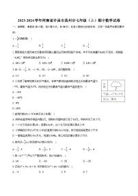 2023-2024学年河南省许昌市禹州市七年级（上）期中数学试卷（含解析）