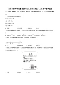 2023-2024学年安徽省滁州市天长市七年级（上）期中数学试卷（含解析）