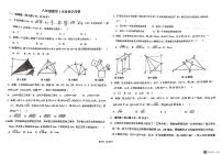 河南省南阳市第三中学2023-2024学年八年级上学期第二次月考数学试卷