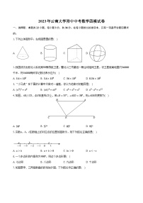 2023年云南大学附中中考数学四模试卷（含解析）