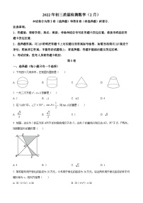 精品解析：广东省深圳市2021-2022学年九年级下学期2月质量检测数学试题