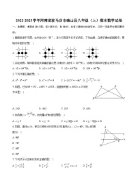 2022-2023学年河南省驻马店市确山县八年级（上）期末数学试卷（含解析）