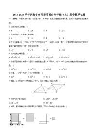 2023-2024学年河南省南阳市邓州市八年级（上）期中数学试卷（含解析）