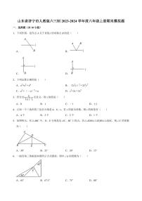 山东省济宁市2023-2024学年八年级数学上册期末模拟题