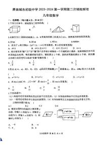 安徽省宿州市萧县城东初级中学2023-2024学年九年级上学期12月月考数学试题