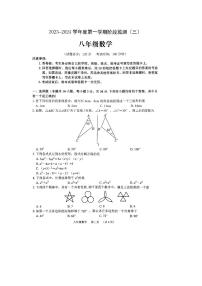 河南省驻马店市泌阳县2023-2024学年八年级上学期1月月考数学试题