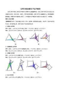 全等与相似模型-手拉手模型（解析版）