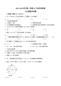 山东省德州市齐河县表白寺镇中学2023-2024学年九年级上学期12月月考数学试题