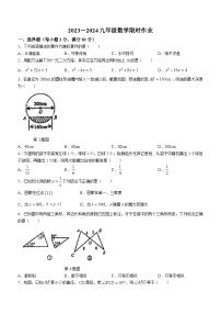 河南省商丘市夏邑县第二初级中学2023-2024学年九年级上学期12月月考数学试题