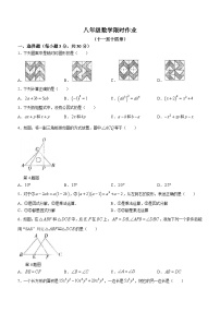 河南省商丘市夏邑县第二初级中学2023-2024学年八年级上学期12月月考数学试题