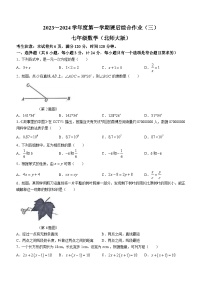 河南省+周口扶沟县第三初级中学2023-2024学年七年级上学期数学第三次月考试题
