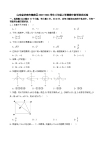 山东省济南市槐荫区2023-2024学年八年级上学期期中数学测试试卷