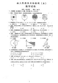 安徽省六安市皋城中学2023-2024学年九年级上学期1月月考数学试题