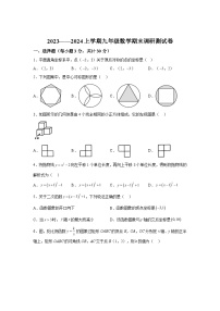 2023-2024学年黑龙江省哈尔滨市道里区九年级上学期期末数学(五四制)试题（含解析）