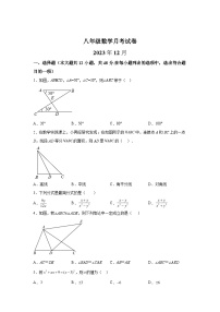 2023-2024学年山东省德州市武城县武城镇大屯中学八年级上学期12月月考数学试题（含解析）