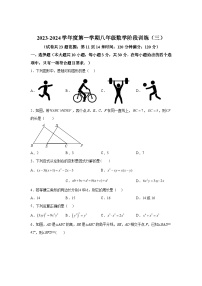 2023-2024学年广东省湛江市廉江市良垌中学八年级上学期12月月考数学试题（含解析）