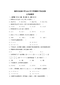 2023-2024学年湖南省衡阳市实验中学七年级上学期期中数学试题（含解析）