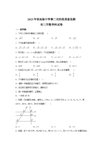 2023-2024学年福建省泉州市南安市实验中学九年级上学期月考数学试题（含解析）