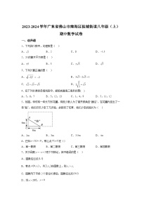 2023-2024学年广东省佛山市南海区桂城街道八年级上学期期中数学试题（含解析）