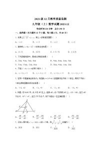 2023-2024学年四川省眉山市仁寿县鳌峰初级中学九年级上学期12月月考数学试题(含解析)