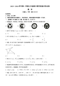 安徽芜湖第二十九中学2023-2024学年九年级期上学期中数学试题（含解析版）