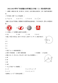 2022-2023学年广东省肇庆市怀集县九年级（上）期末数学试卷（含解析）