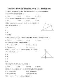 2022-2023学年河北省沧州市献县八年级（上）期末数学试卷（含解析）