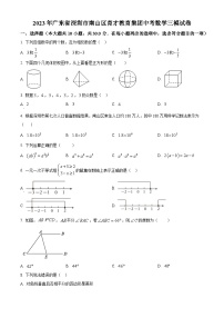 精品解析：2023年广东省深圳市南山区育才教育集团中考三模数学试题