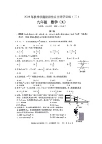 广西壮族自治区来宾市2023-2024学年九年级上学期1月月考数学试题