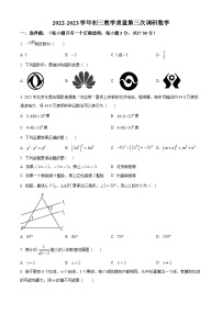 精品解析：2023年广东省深圳市蛇口育才教育集团育才三中中考三模数学试题