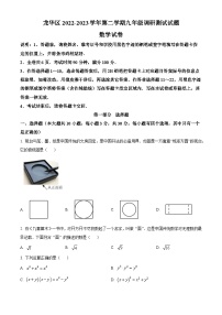 精品解析：广东省深圳市龙华区2022-2023学年九年级下学期数学调研试卷