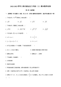 2022-2023学年上海市嘉定区八年级上学期期末数学试卷